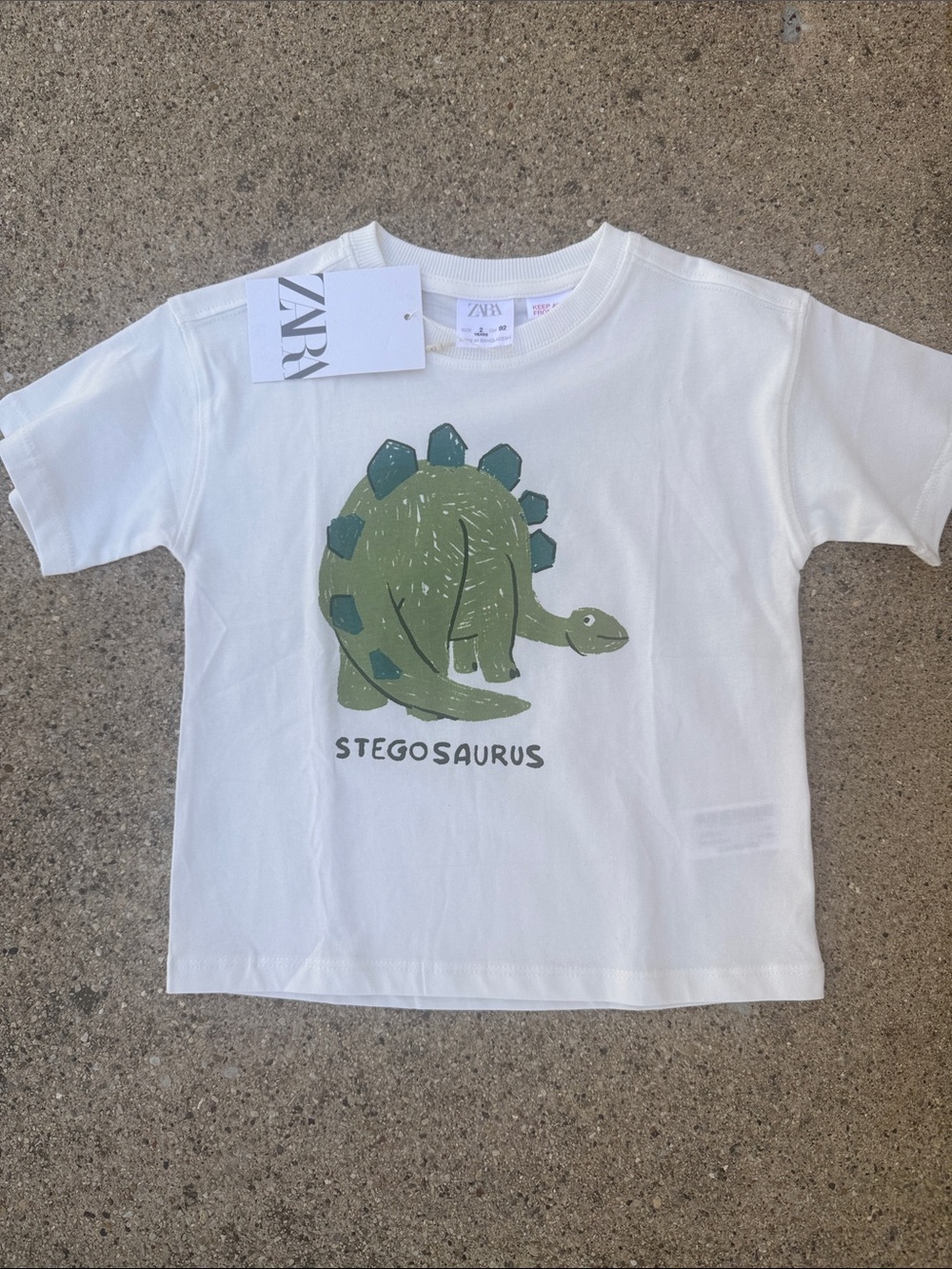 Zara Stegosaurus T Shirt